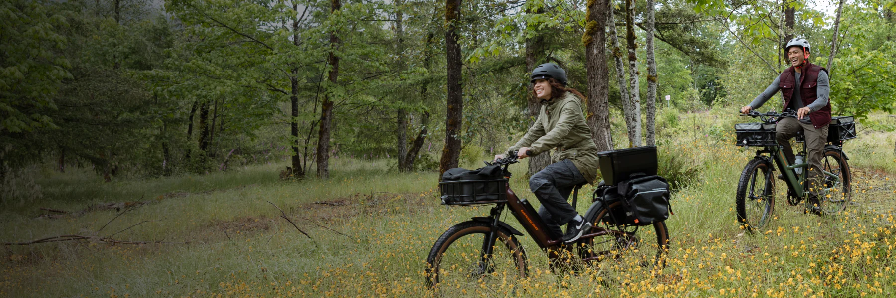 Ride the Future of Ebikes